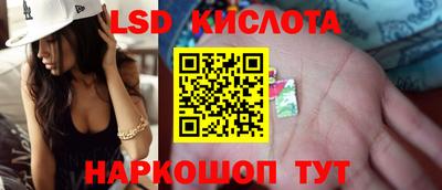 ПСИЛОЦИБИНОВЫЕ ГРИБЫ Гусев