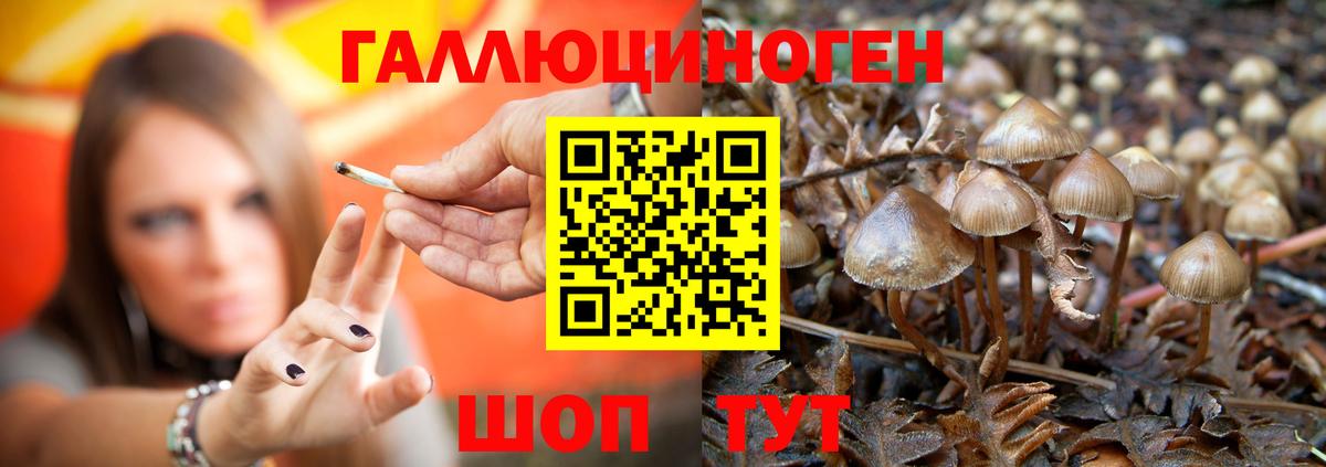 Мыски  Псилоцибиновые грибы мухоморы  Вход с VPN 