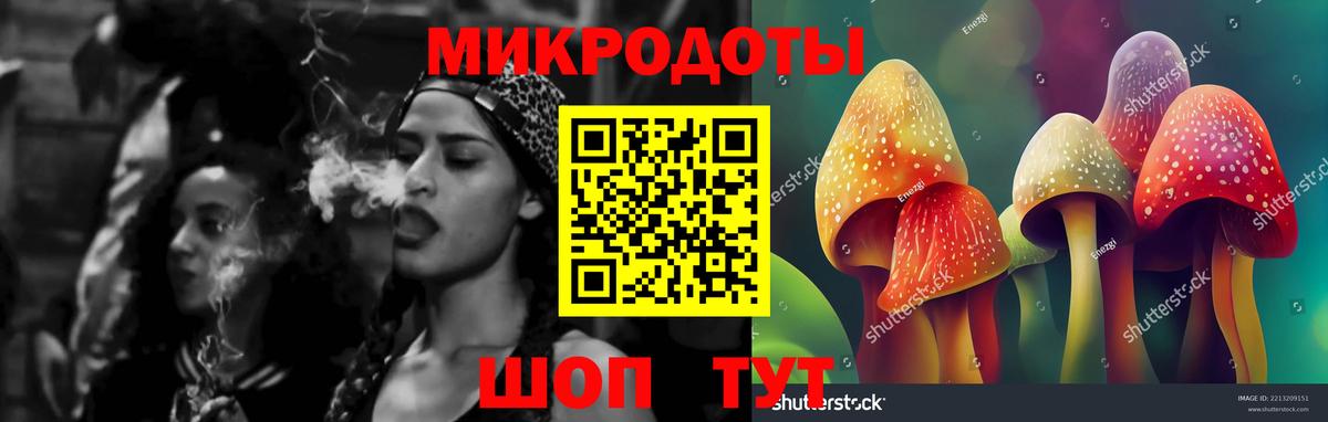 Галлюциногенные грибы мухоморы Мыски